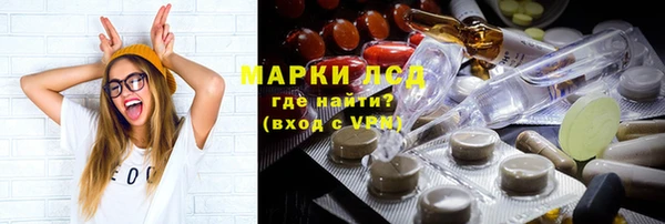 гашик Нефтекумск