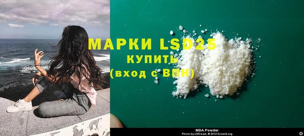 spice Новодвинск