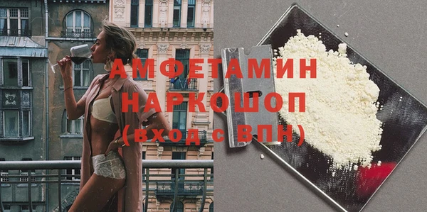 твердый Новозыбков