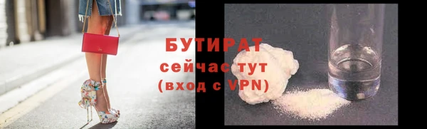 прущие грибы Ахтубинск
