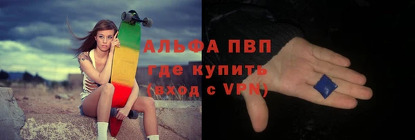 твердый Новозыбков