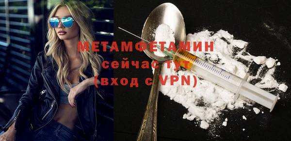 прущие грибы Ахтубинск